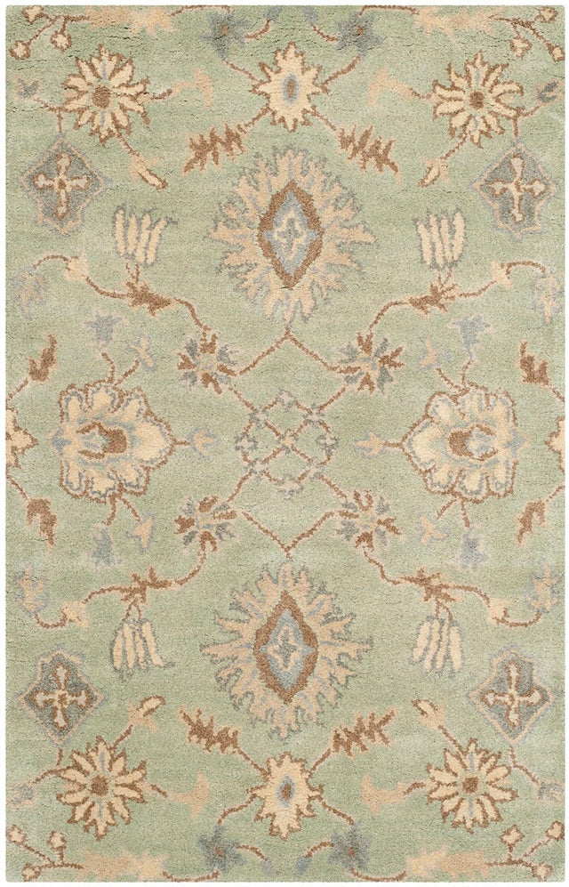 Safavieh Wyndham Wyd202A Light Green Rugs.