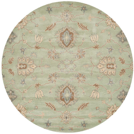 Safavieh Wyndham Wyd202A Light Green Rugs.