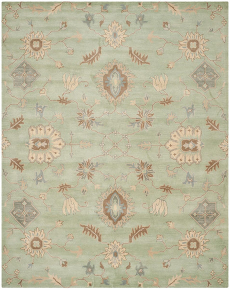 Safavieh Wyndham Wyd202A Light Green Rugs.