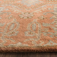 Safavieh Wyndham Wyd203A Terracotta Area Rug