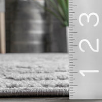 Nuloom Emberly Nem1550A Gray Area Rug