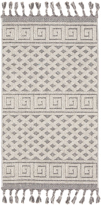 Nourison Paxton Pax05 Ivory/Slate Area Rug