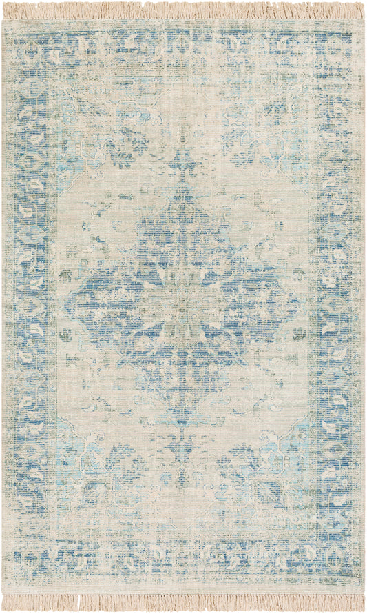 Surya Zainab Zai-2300 Sky Blue, Navy, Sage, Lime Area Rug