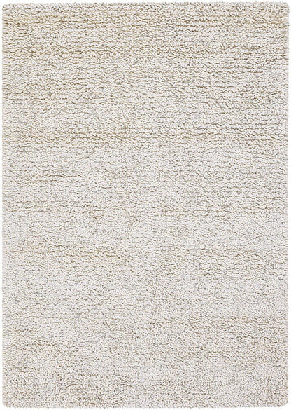 Chandra Zeal zea20600 White Shag Area Rug