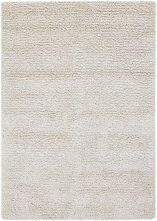 Chandra Zeal zea20600 White Shag Area Rug