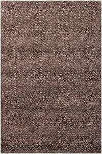 Chandra Zeal zea20604 Gray Shag Area Rug