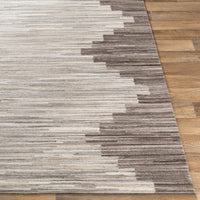 Surya Zander Znd-1007 Silver Gray, Beige, Ivory, Medium Gray Area Rug