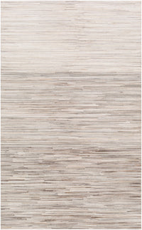 Surya Zander Znd-1009 Dark Brown, Beige, Ivory, Medium Gray Area Rug