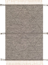 Surya Zanafi Znf-2301 Black, Cream Rugs.