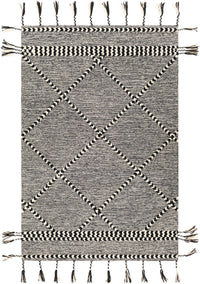 Surya Zanafi Tassels Zts-2307 Black, Cream Area Rug