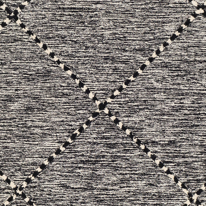 Surya Zanafi Tassels Zts-2307 Black, Cream Area Rug